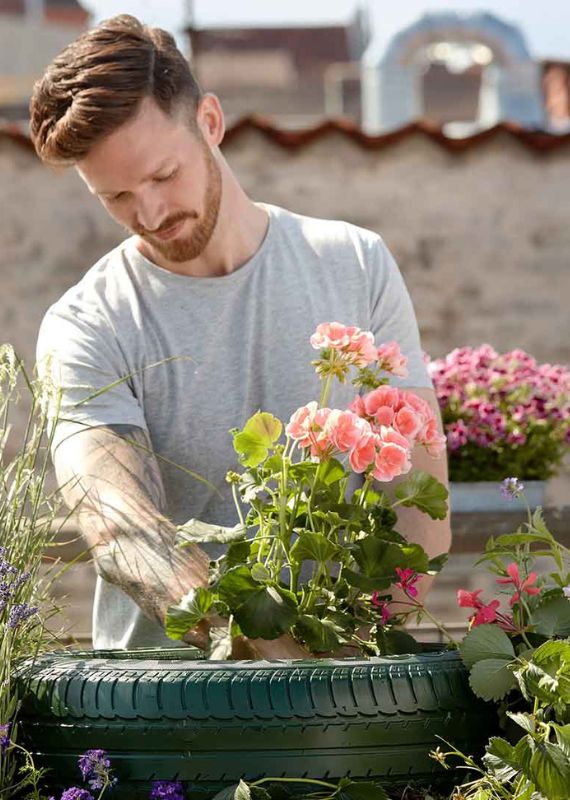 Cleaning And Inspecting In Bengaluru Natural Garden Services