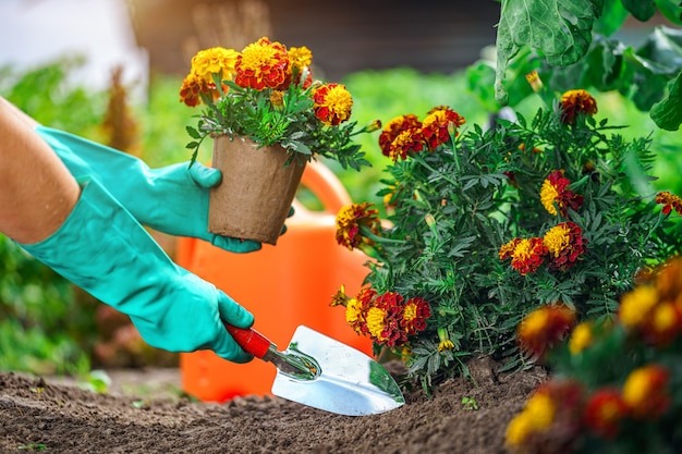 Flower Garden Set Up In Bengaluru Natural Garden