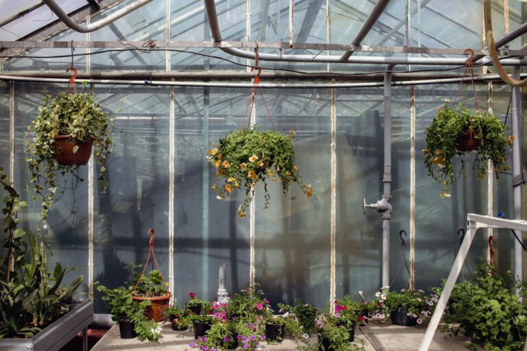 hanging pots in bengaluru natural garden