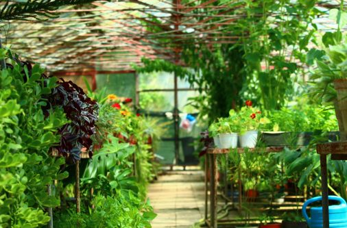 nautal garden in bengaluru made by us