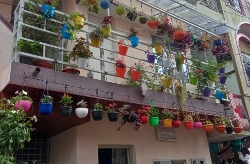 vartical garden designed by bengaluru natural garden experts